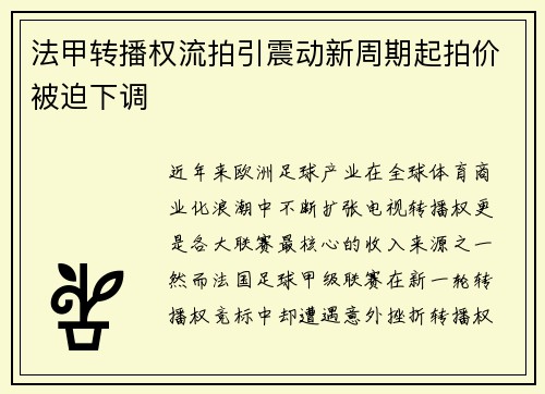 法甲转播权流拍引震动新周期起拍价被迫下调